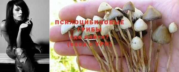 прущий лед Арсеньев