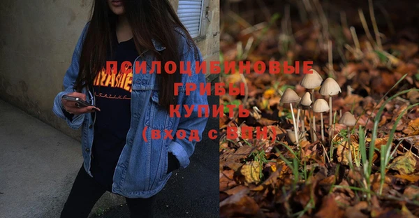 прущие крисы Сосновоборск
