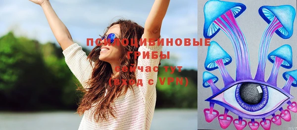 молекула духа Аркадак